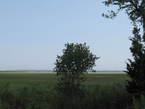 Marsh View, Hamlin Plantation